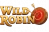 كازينو WildRobin